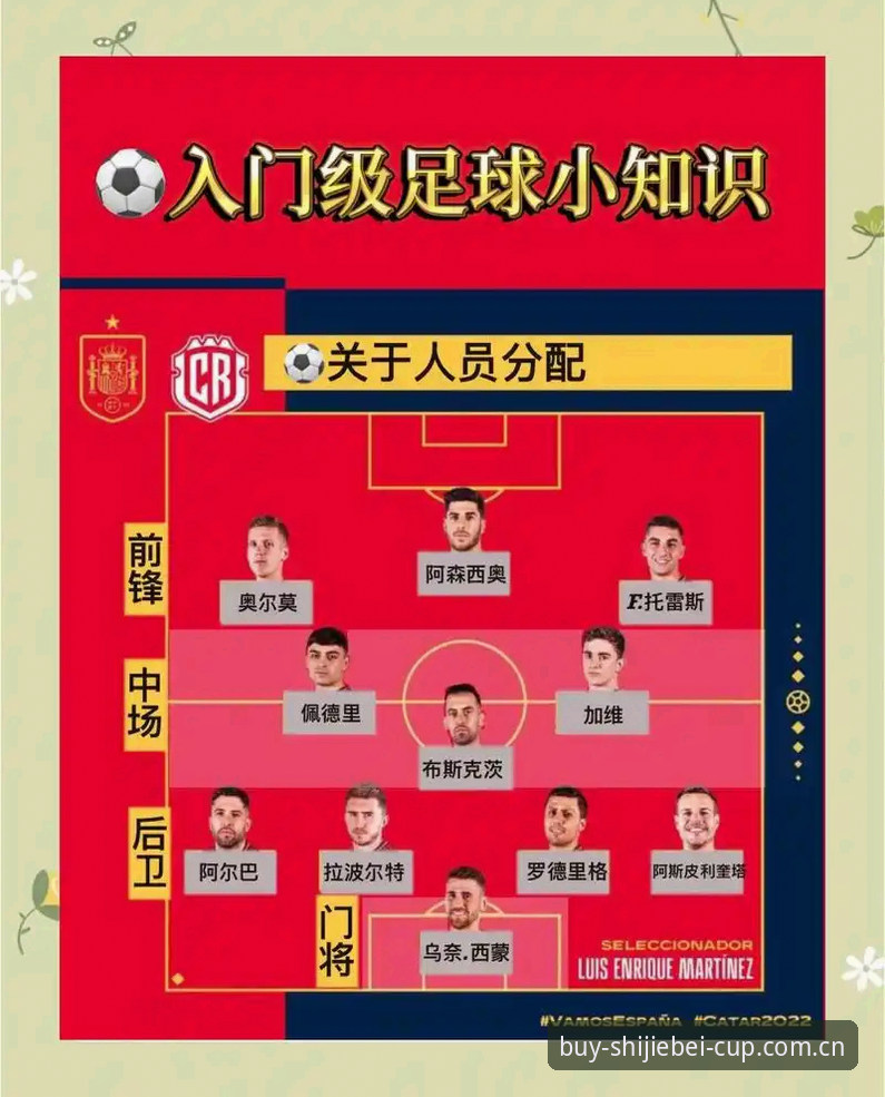 世界杯体育平台新手注册完整指南：从账户开通到赛程数据获取